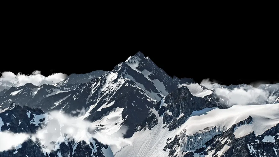 layer1.webp