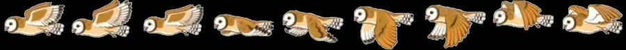 owl.webp